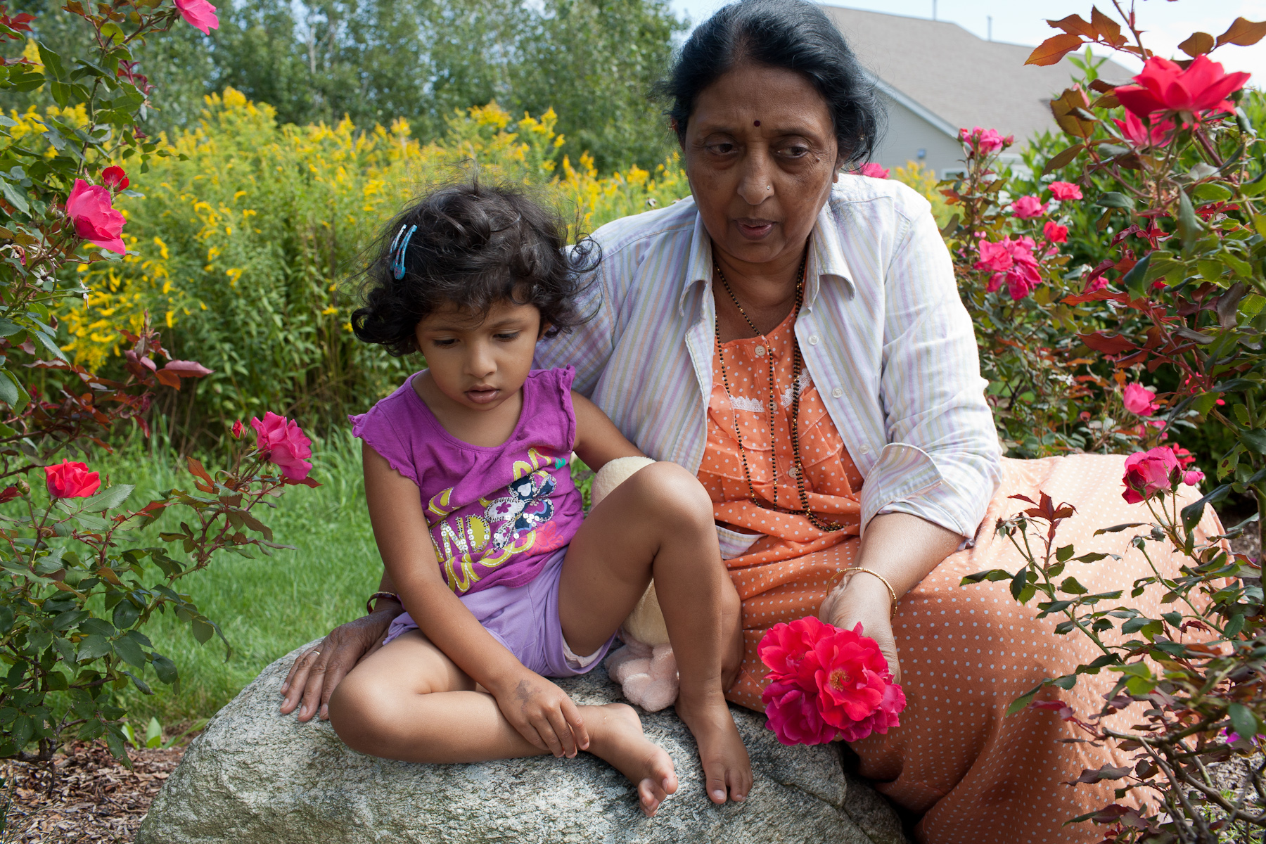 Garden, Boston, 2011