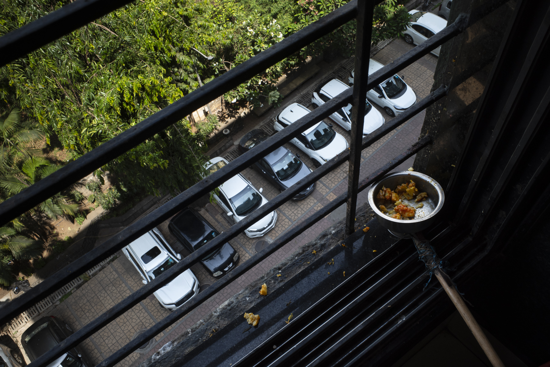 Window offering for crows, Mumbai, 2024